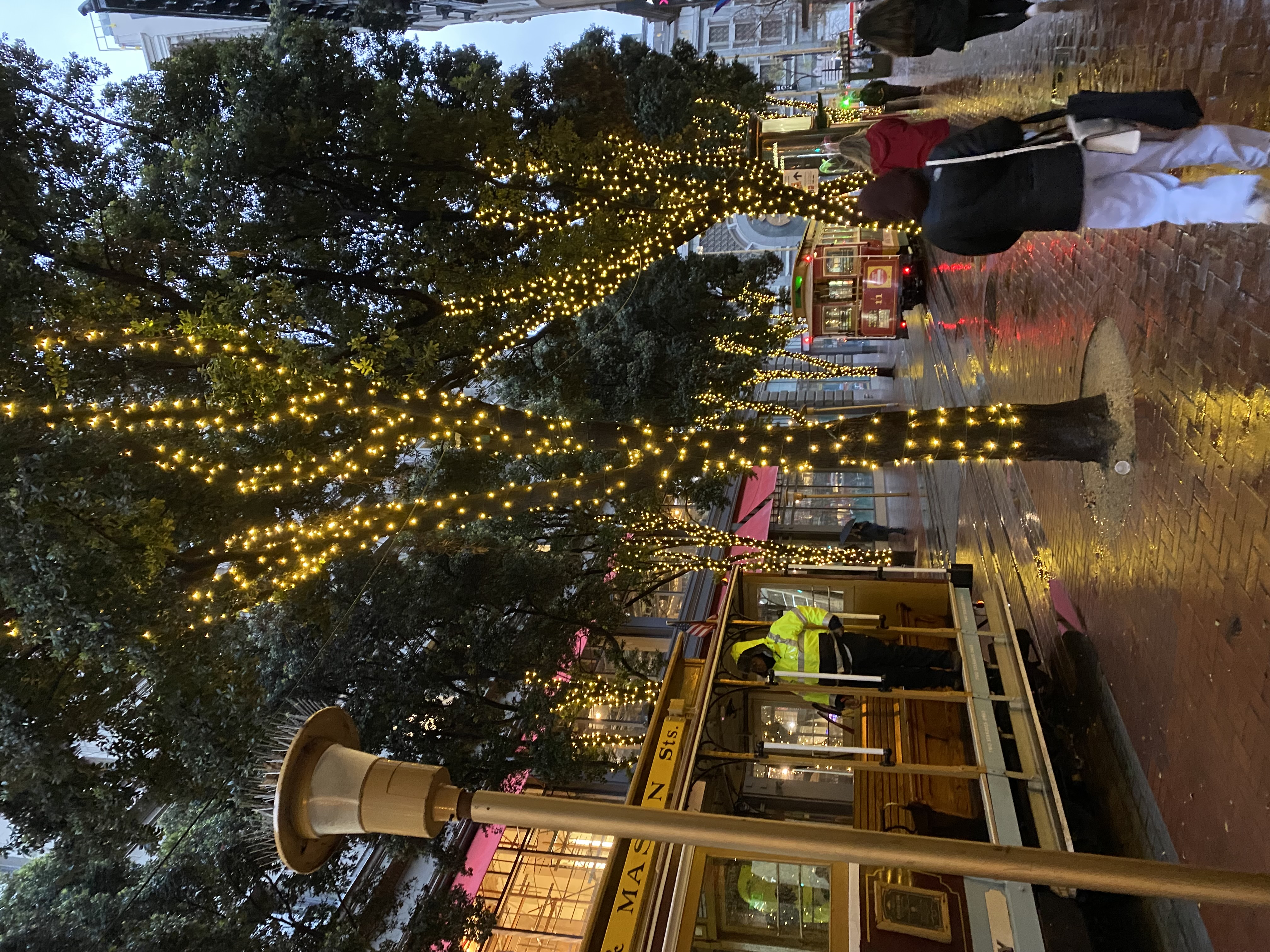 Fairy lights adorn the trees outside of a business in San Francisco, California.